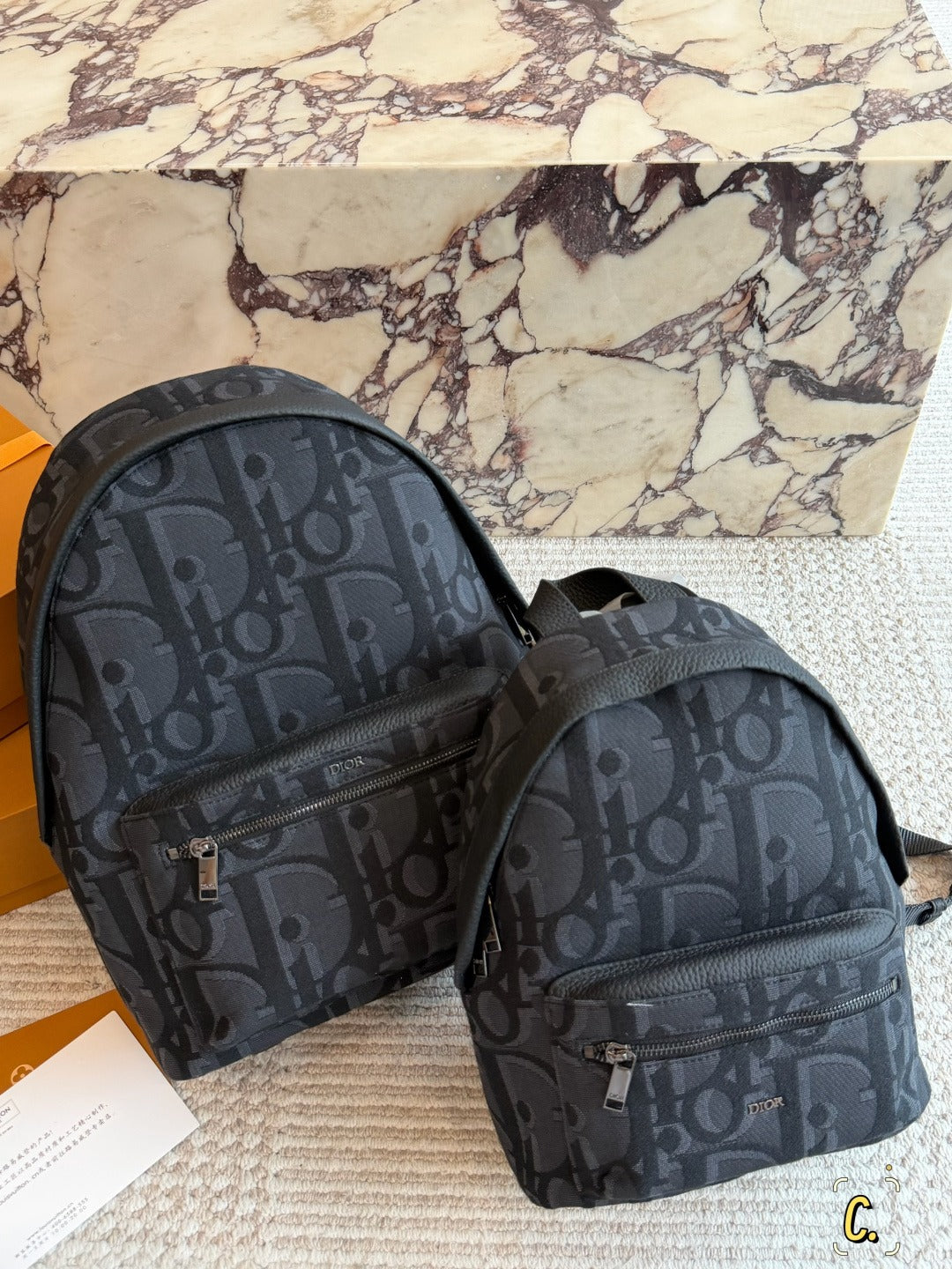 Dior Canvas Logo Backpack