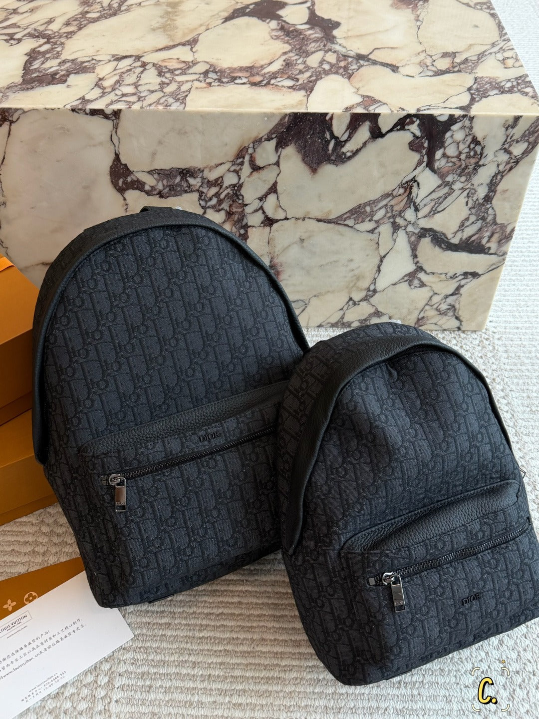 Dior Canvas Logo Backpack