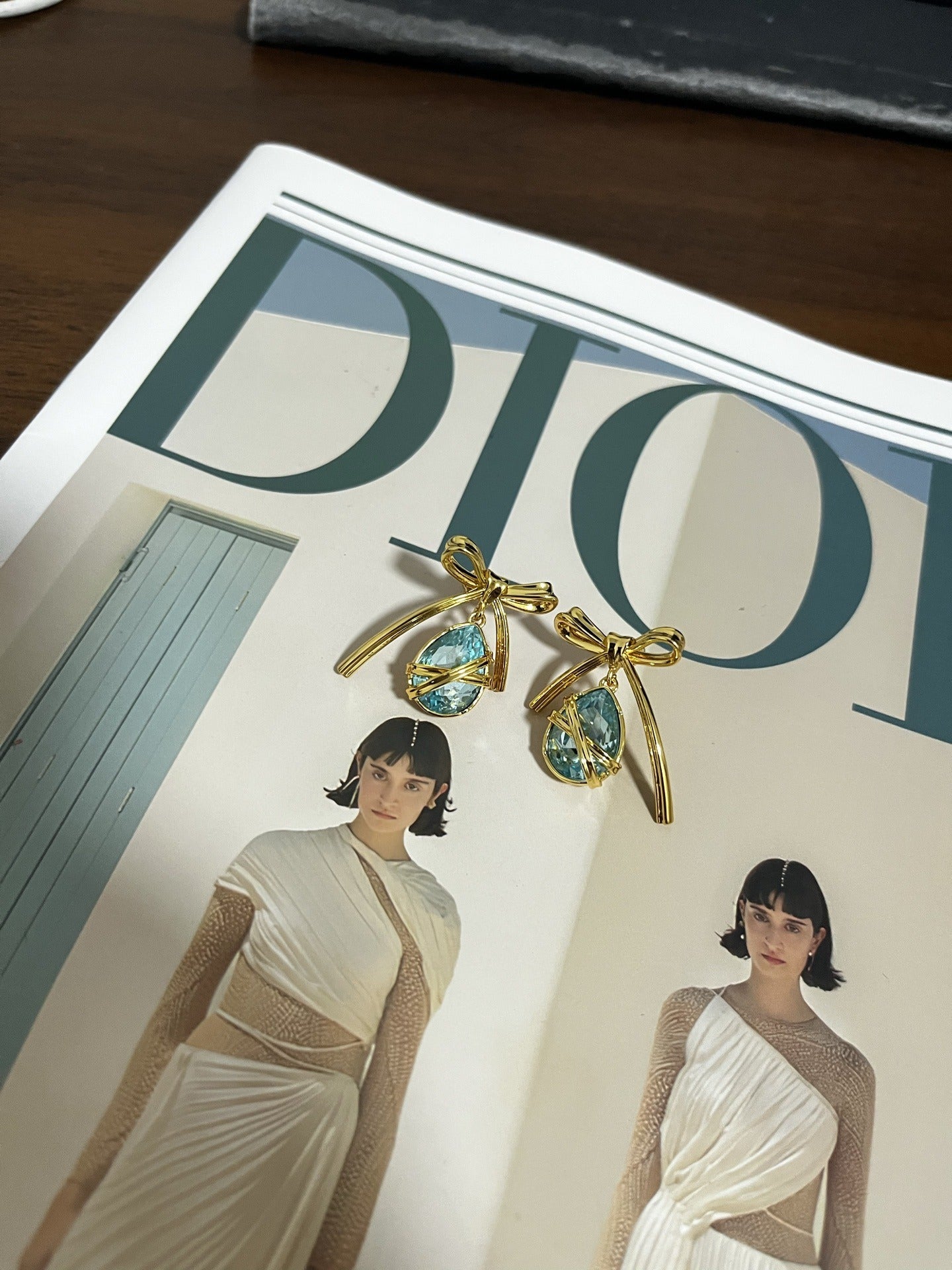 Dior Logo Earrings