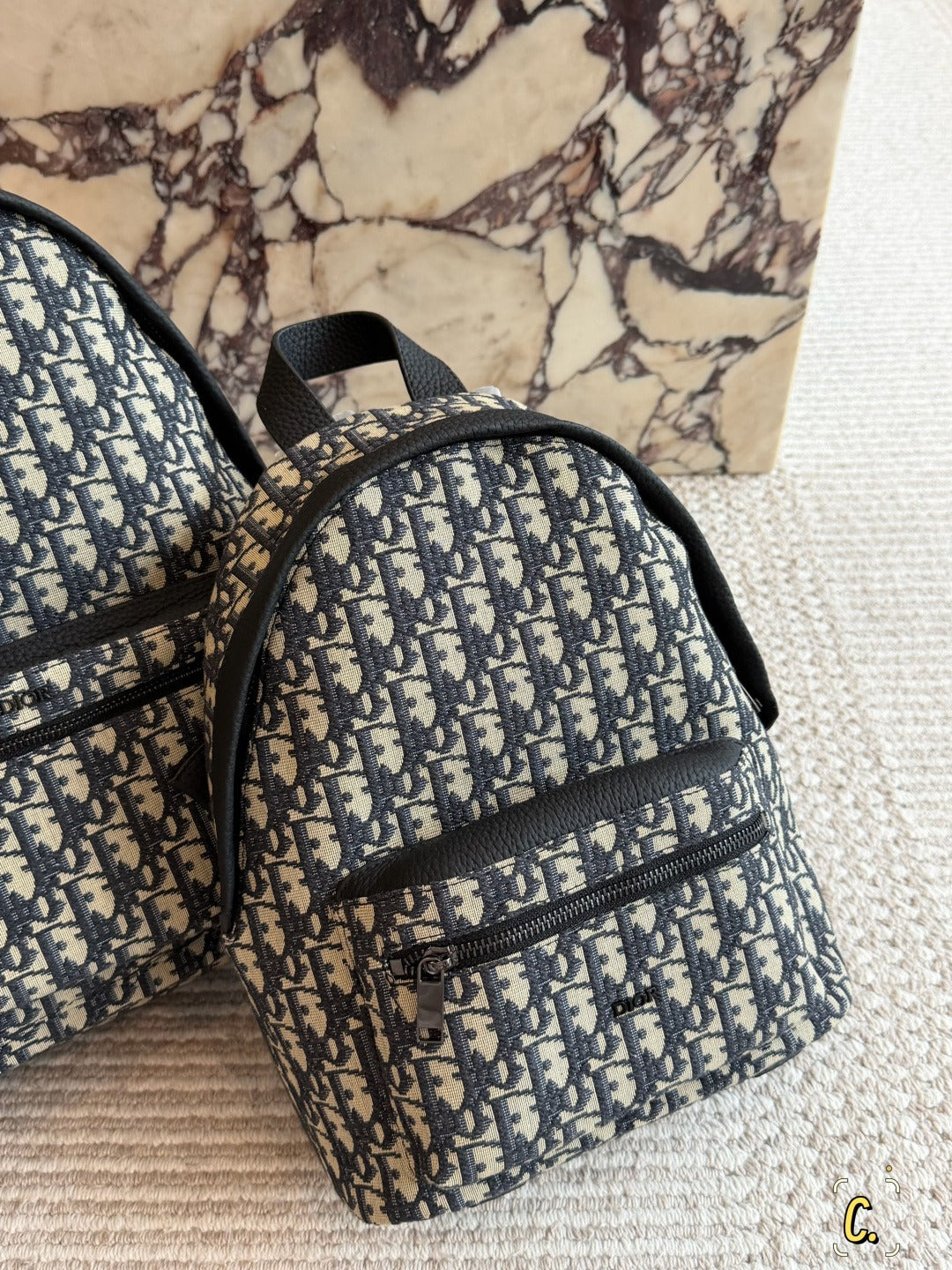 Dior Canvas Logo Backpack