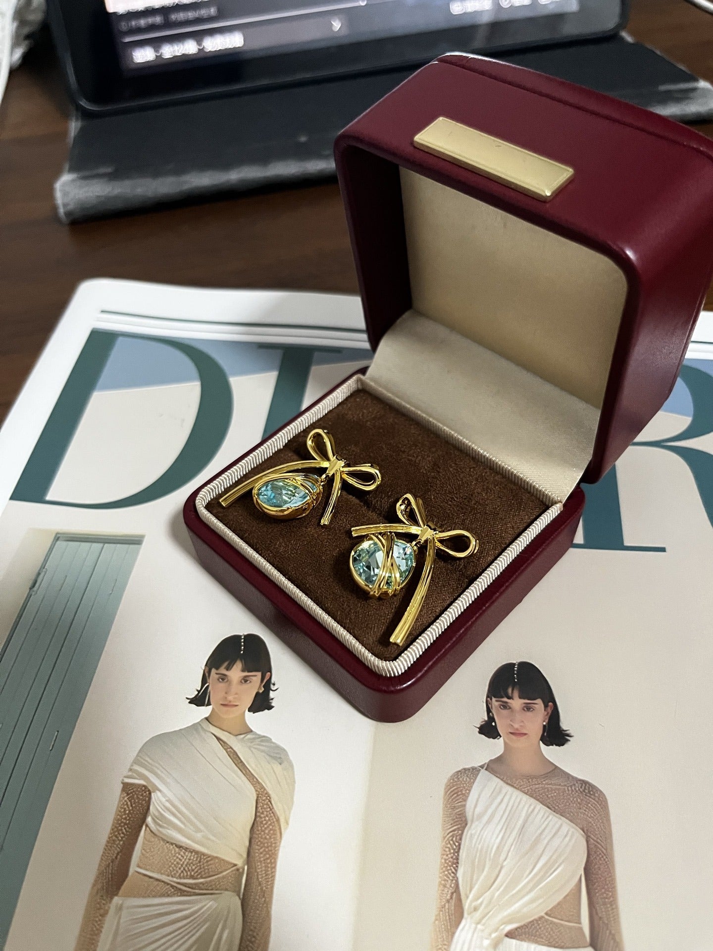 Dior Logo Earrings