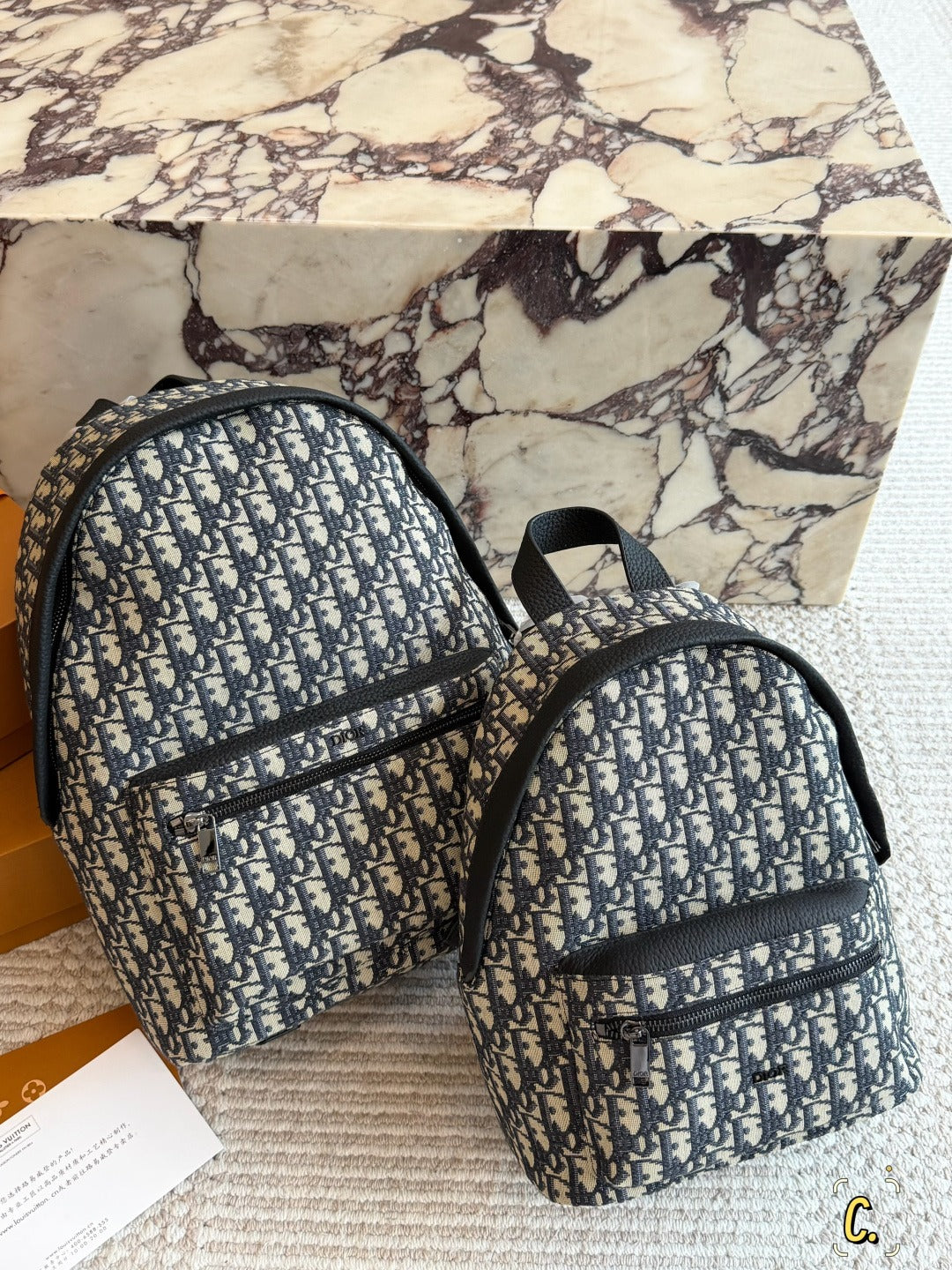 Dior Canvas Logo Backpack