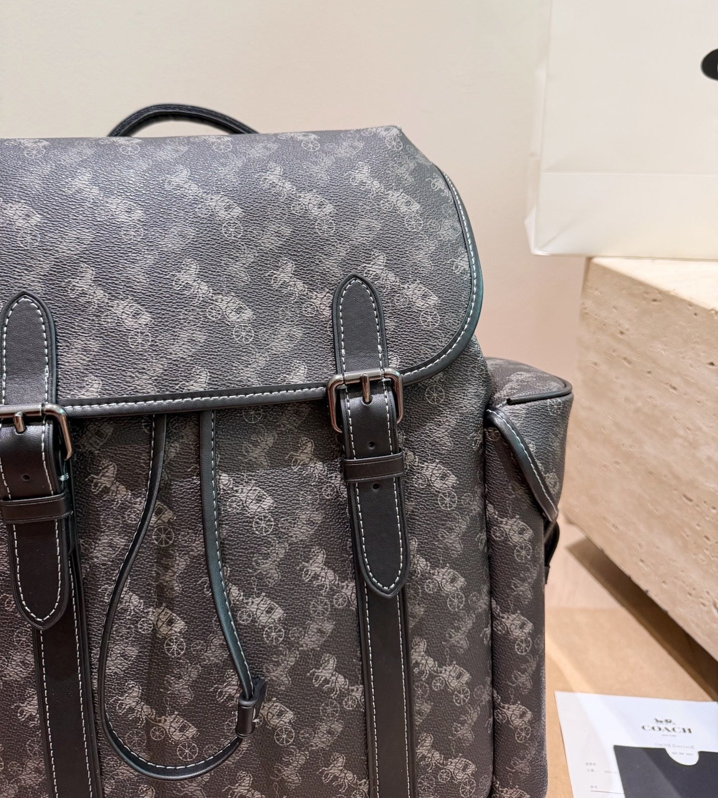 Coach Backpack