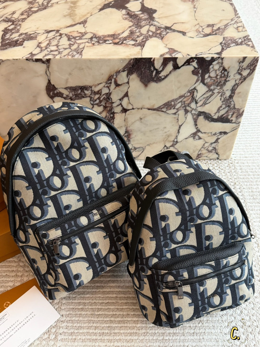 Dior Canvas Logo Backpack