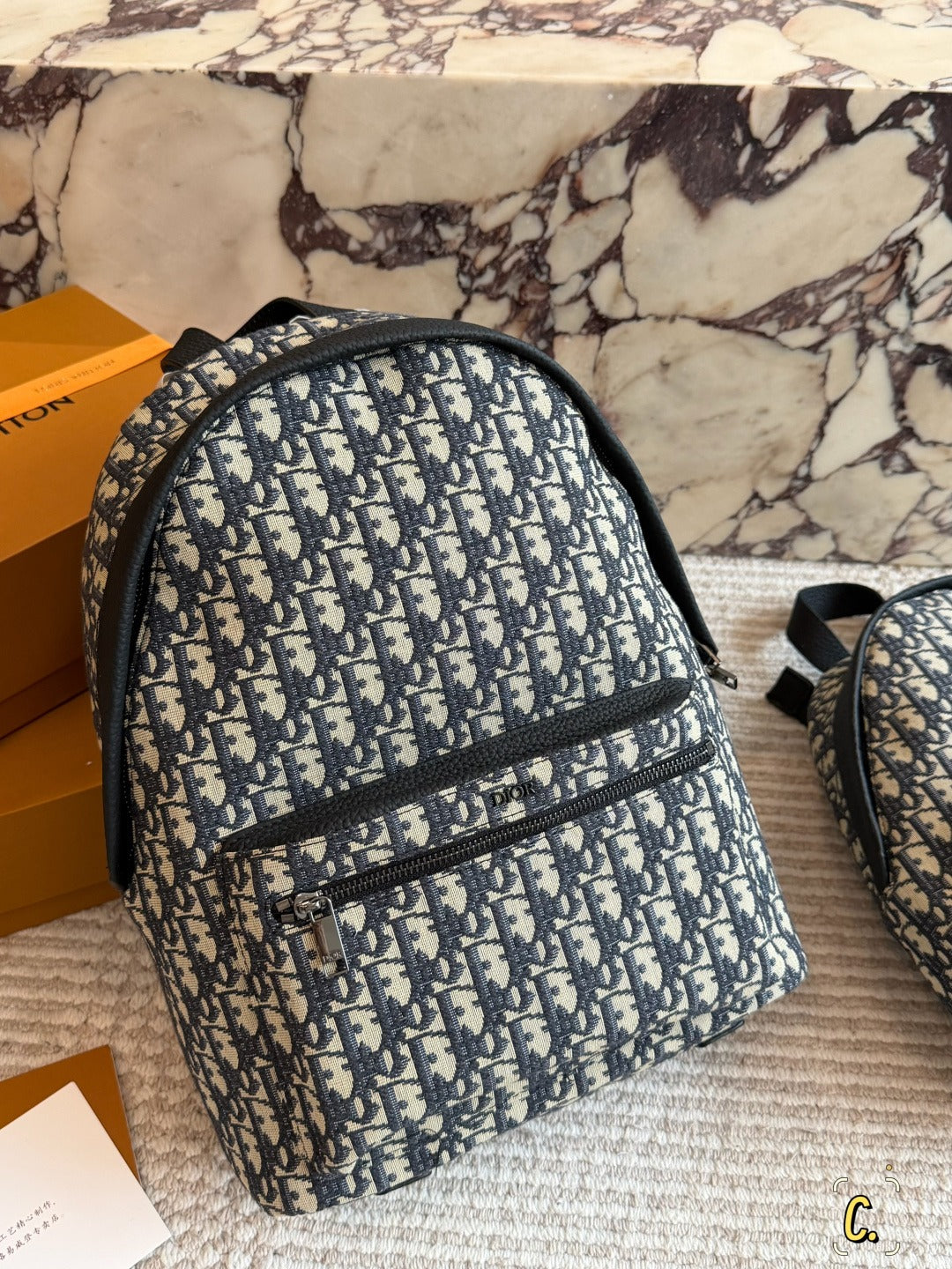 Dior Canvas Logo Backpack