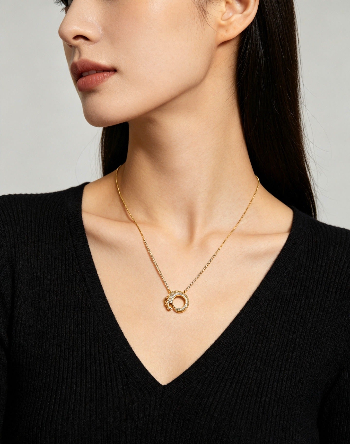 Cartier Necklace