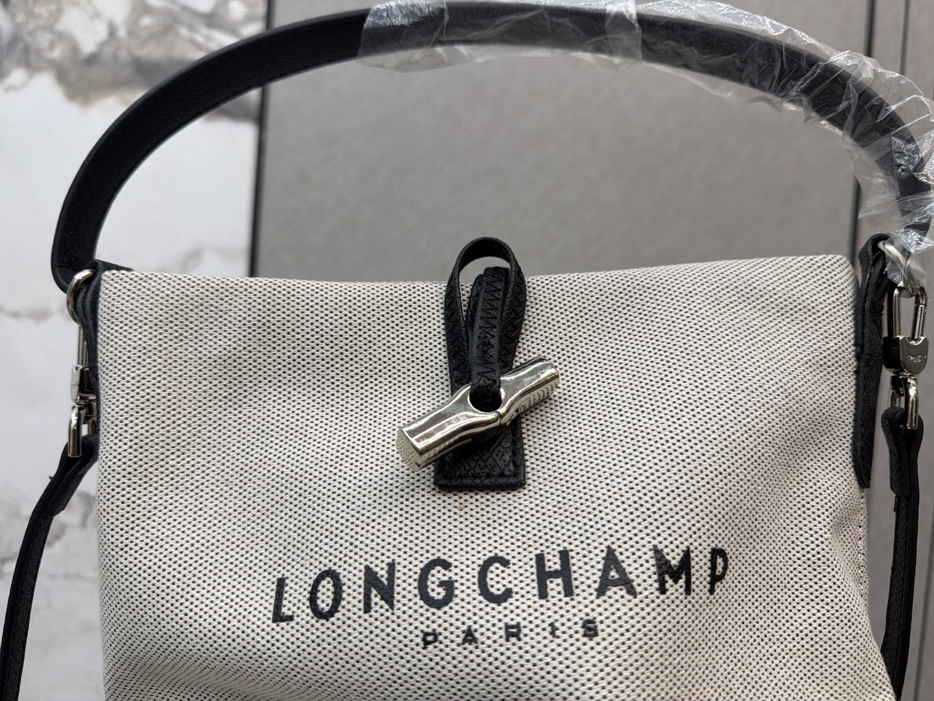 Longchamp Canvas Printed Handbag