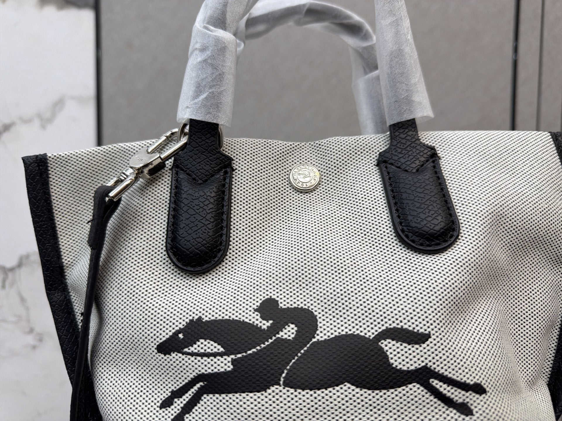 Longchamp Canvas Printed Tote Bag
