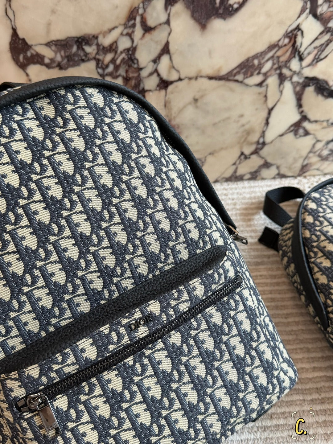 Dior Canvas Logo Backpack