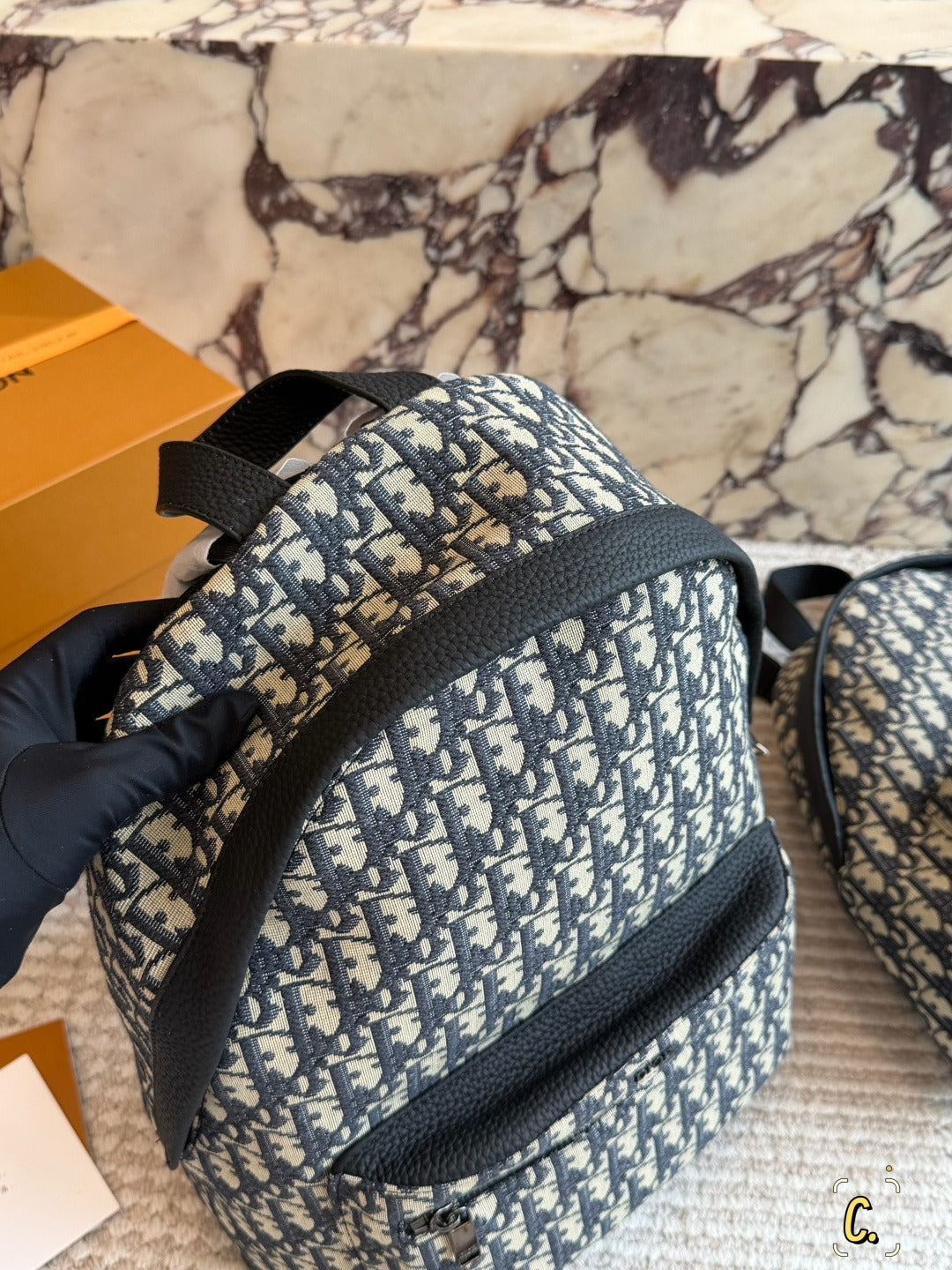 Dior Canvas Logo Backpack