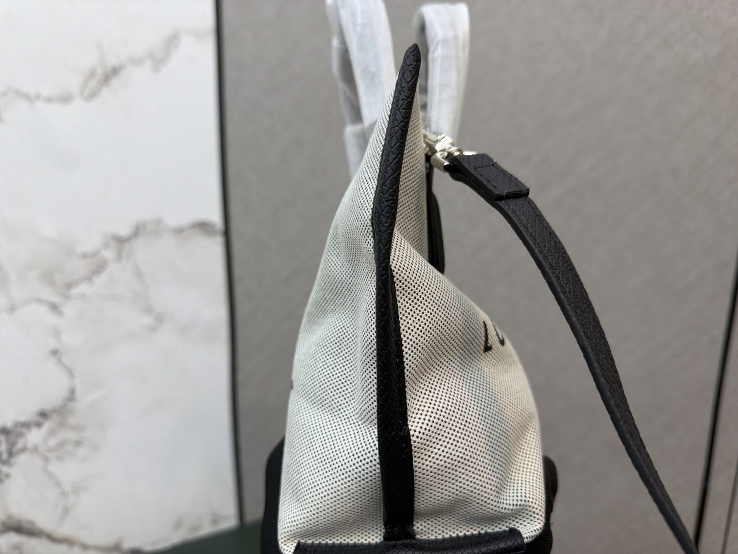 Longchamp Canvas Printed Tote Bag