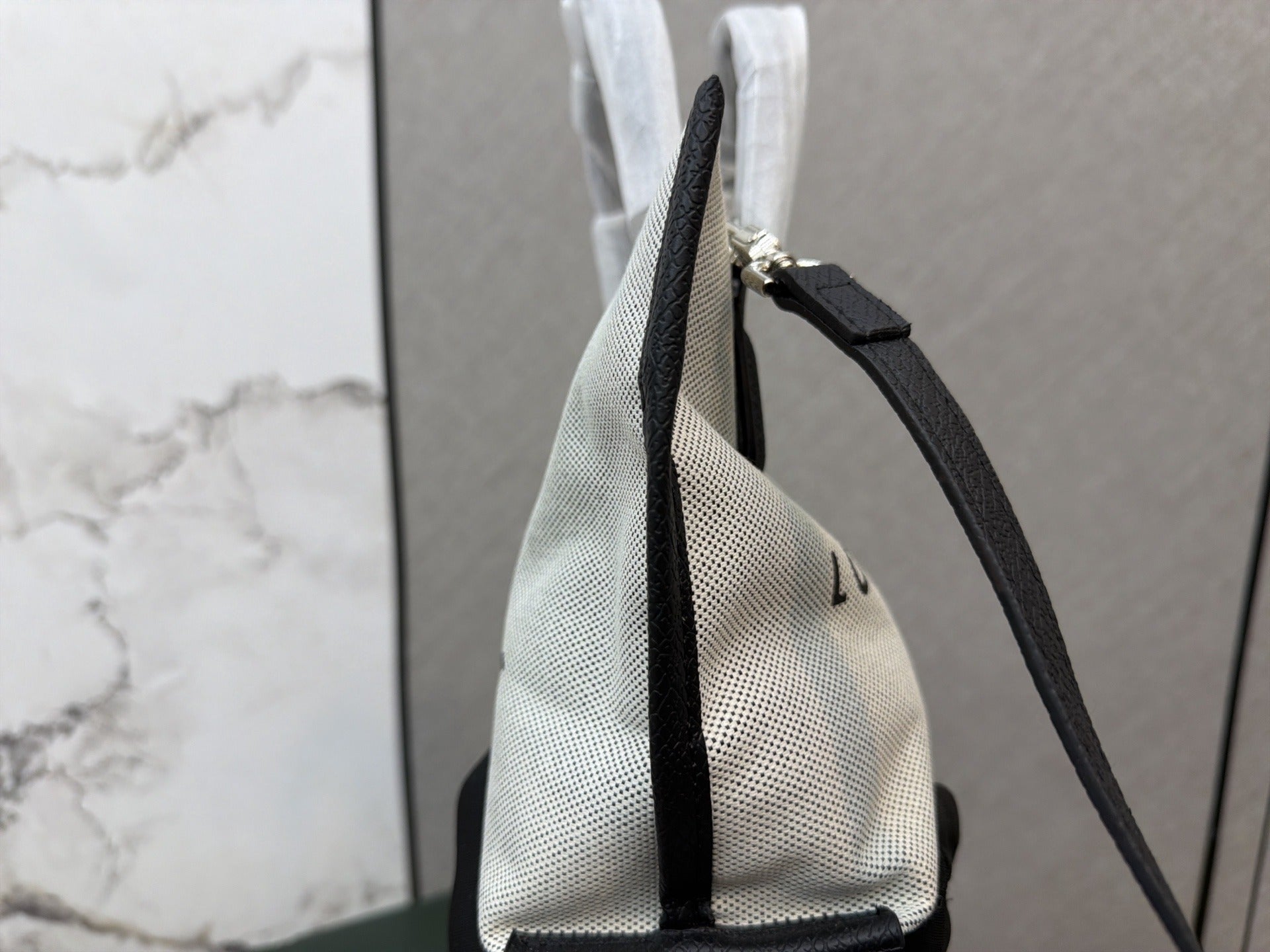 Longchamp Canvas Printed Tote Bag