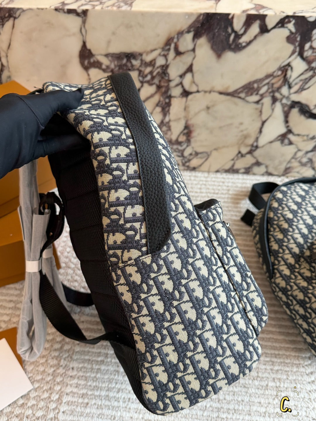 Dior Canvas Logo Backpack