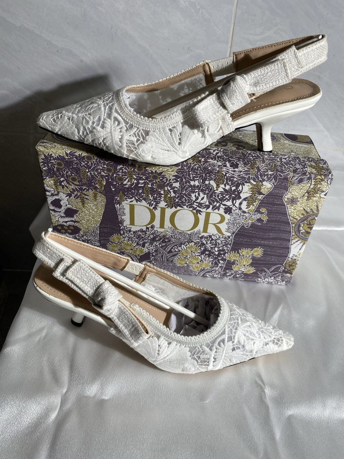 Dior Embroidered Heels