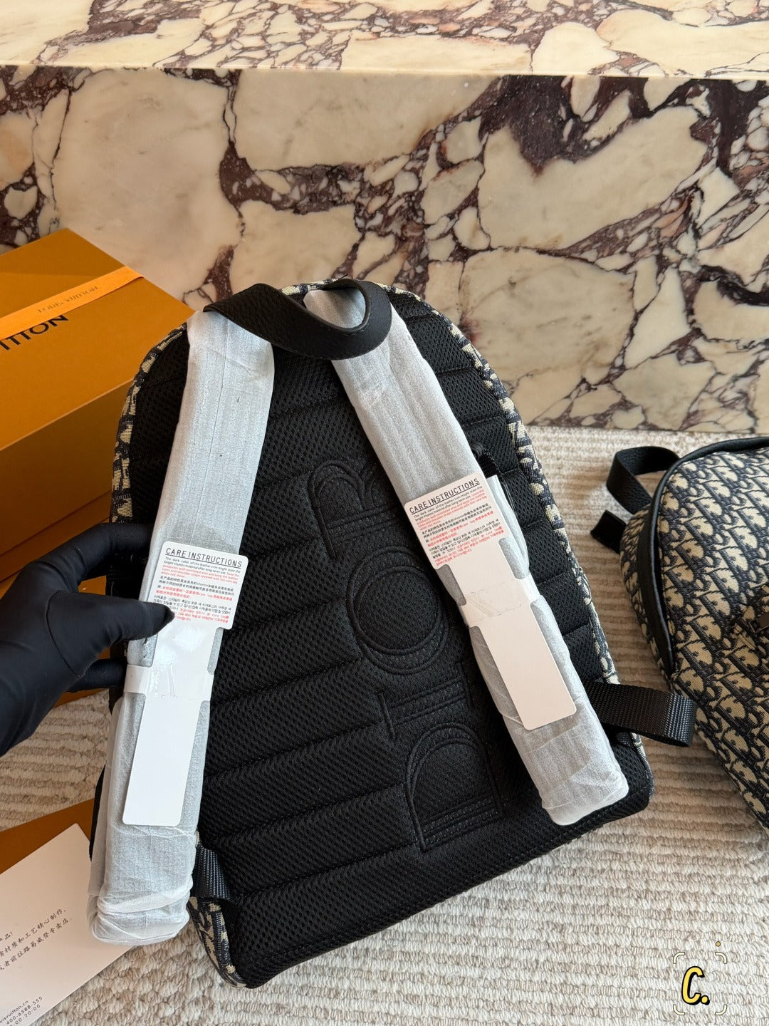 Dior Canvas Logo Backpack
